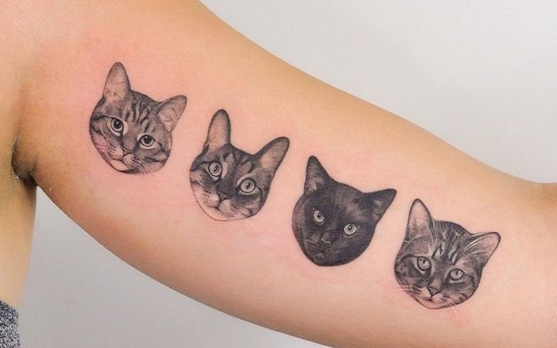 Cat Tattoos