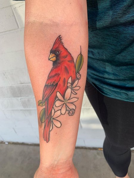 Forearm Cardinal Tattoo