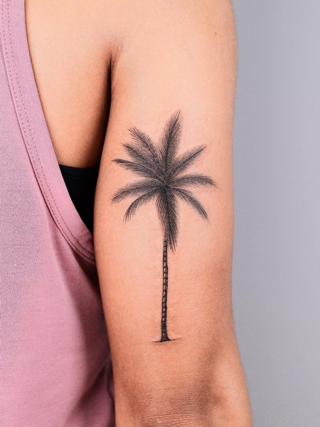 Palm Tree Tattoo Outline
