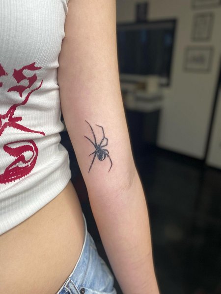 Spider Tattoo Designs