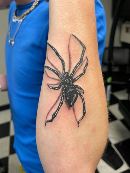 Spider Tattoo On Arm