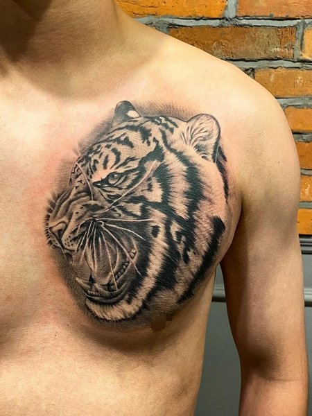 Tiger Tattoo On Chest