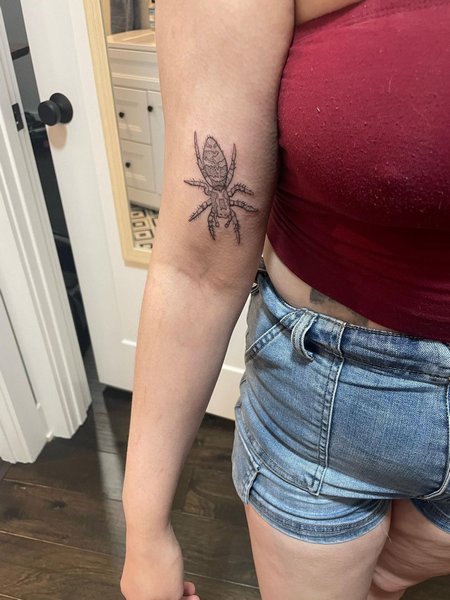 Zebra Spider Tattoo