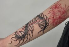 Centipede Tattoos