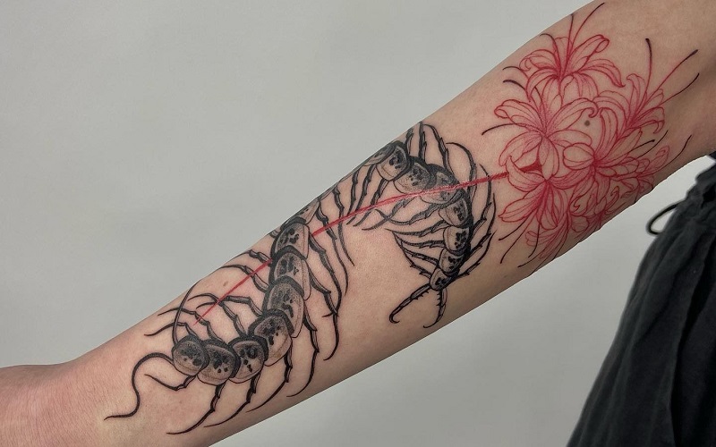 Centipede Tattoos