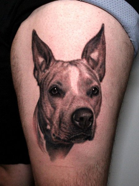 Dog Tattoo On Leg