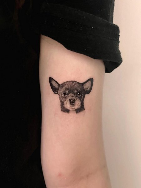 Small Dog Tattoos