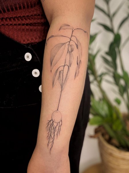 Avocado Tree Tattoo