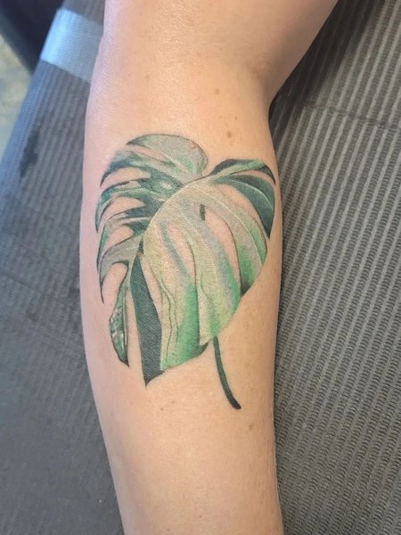 Monstera Leaf Tattoo