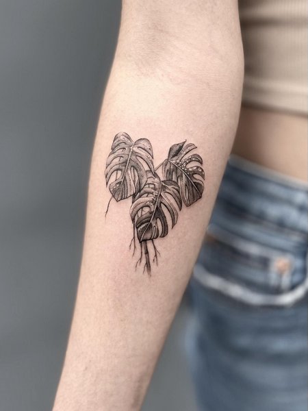 Monstera Leaves Tattoo