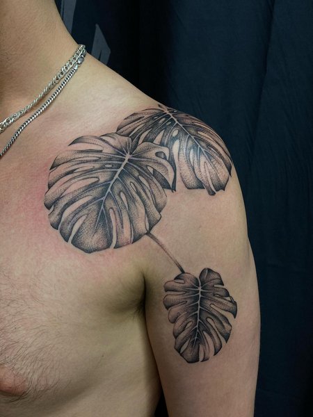 Monstera Tattoos For Men