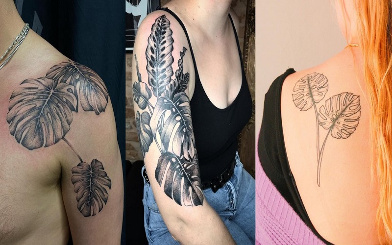 Monstera Tattoos