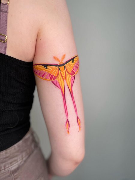 Moth Arm Tattoo