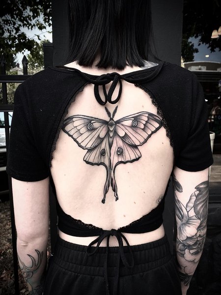 Moth Back Tattoo