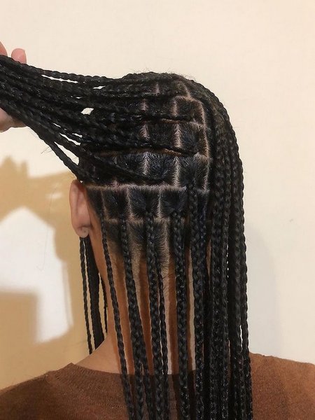 Braiding Hairstyles For Black