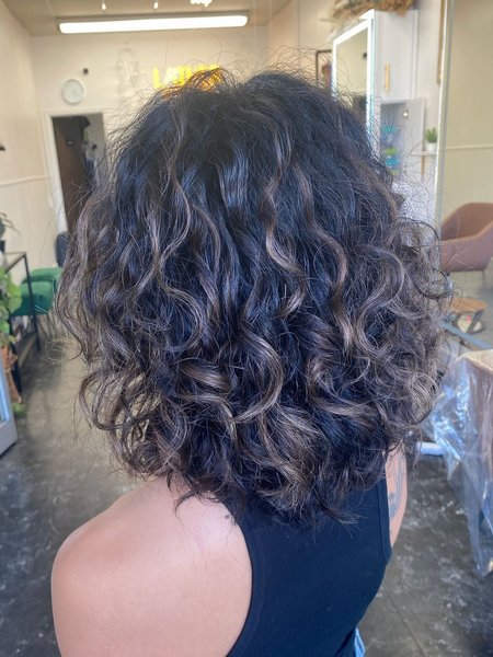 Curly Hair Highlights