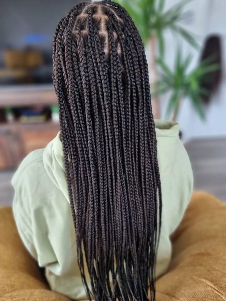 Cute Box Braid Hairstyles